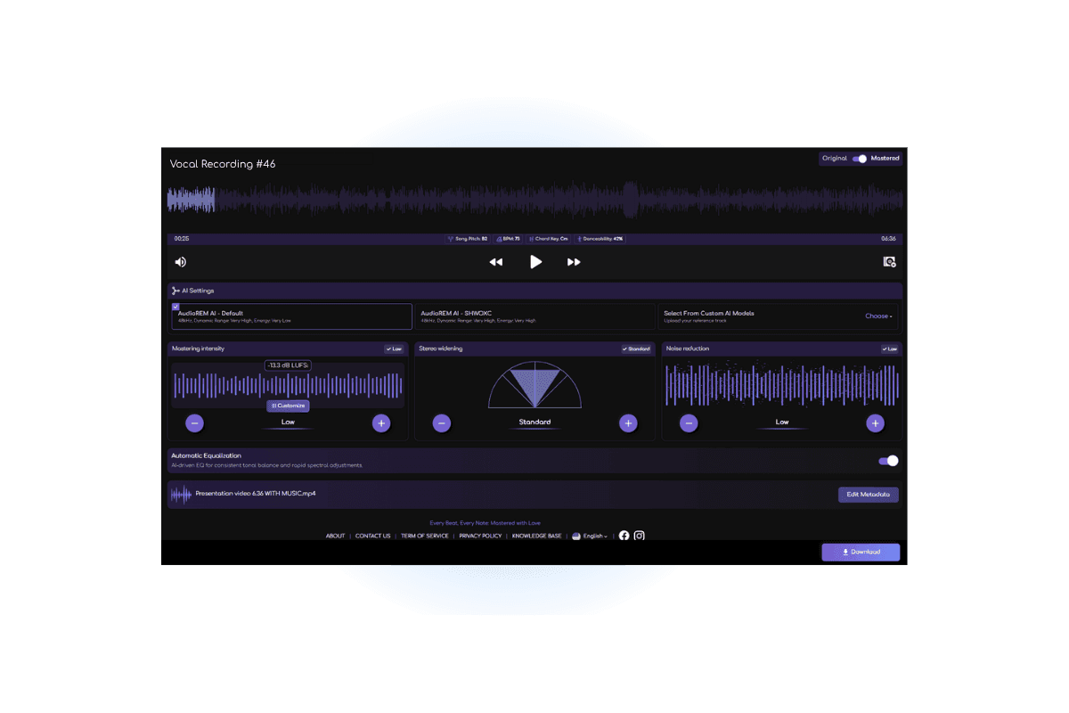 Remasterify Track Page Settings