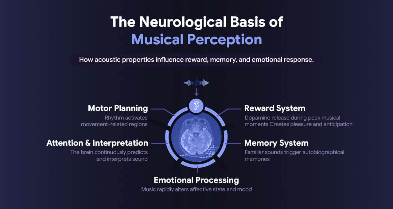 Listener wearing headphones with visualisation of neural activity triggered by music