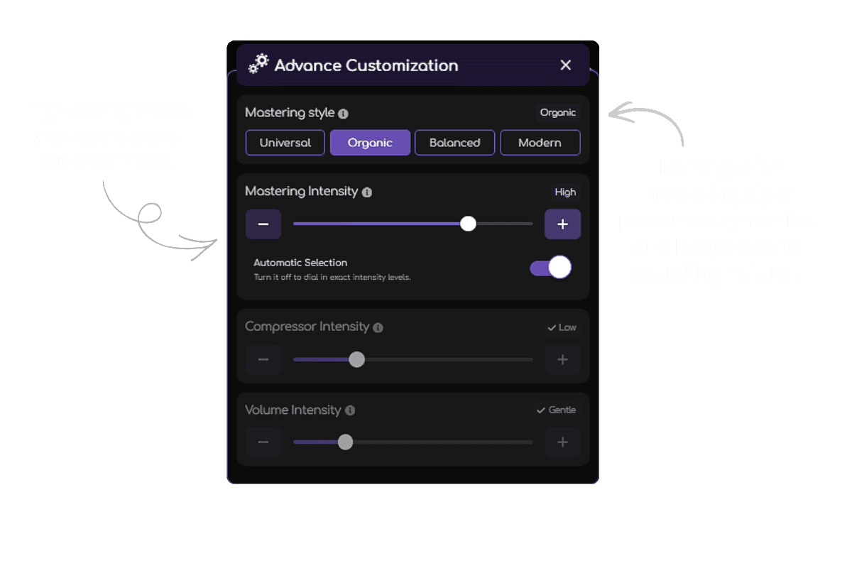 Remasterify advance customization panel of Mastering Intensity
